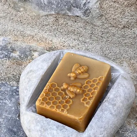 Guest house Soloterra Tower